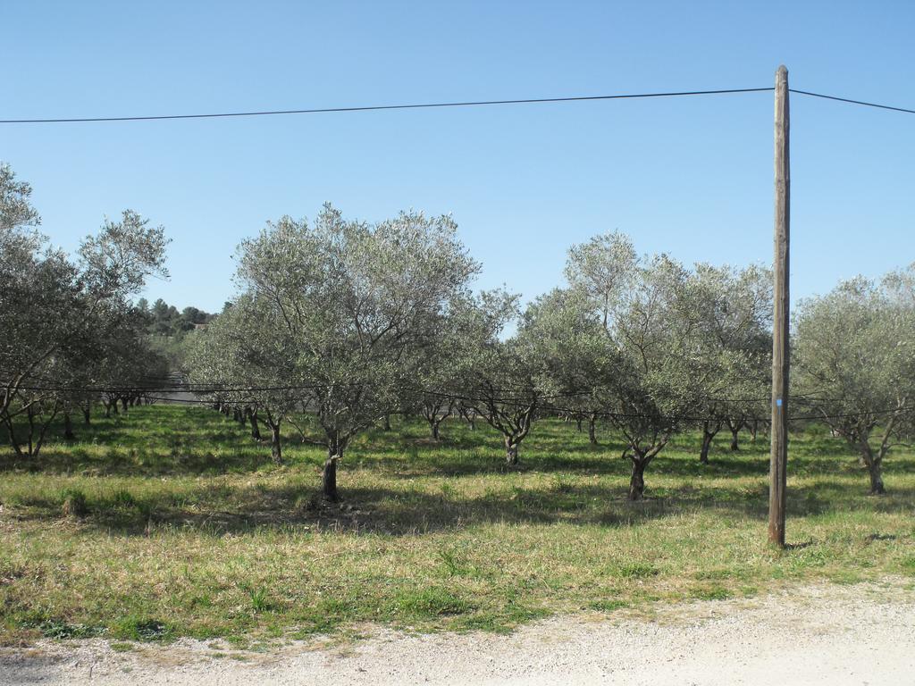 Domaine De La Marseillaise La Crau Quarto foto