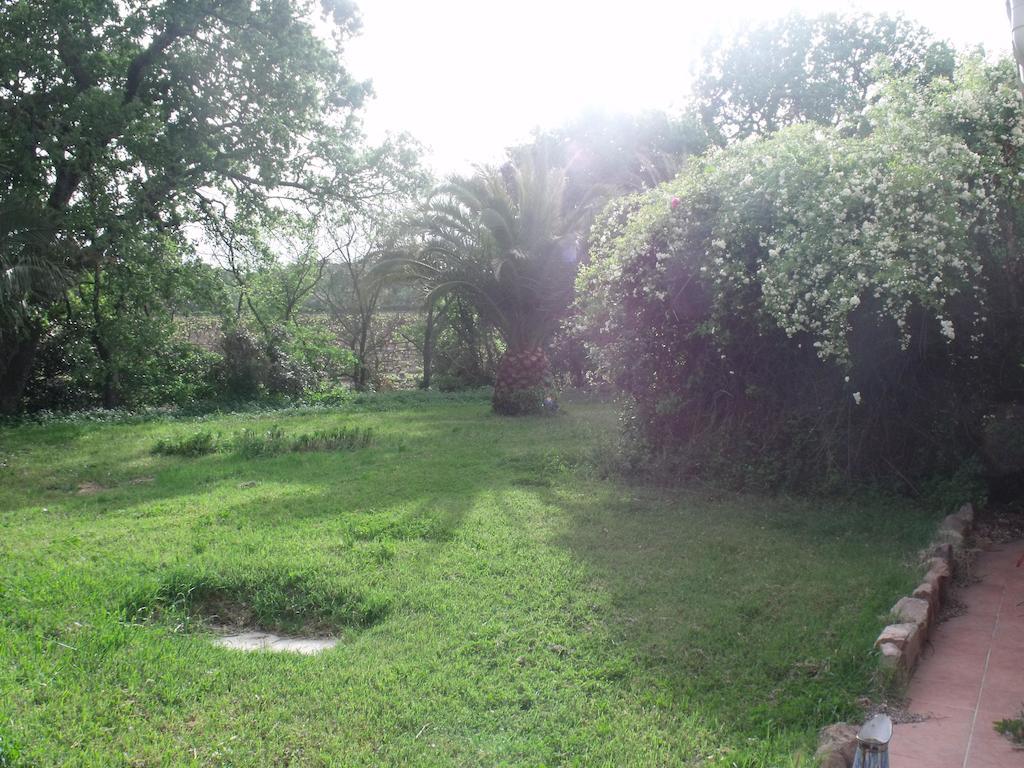 Domaine De La Marseillaise La Crau Quarto foto